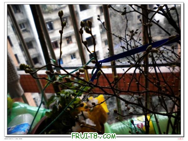 DSCN2119.jpg