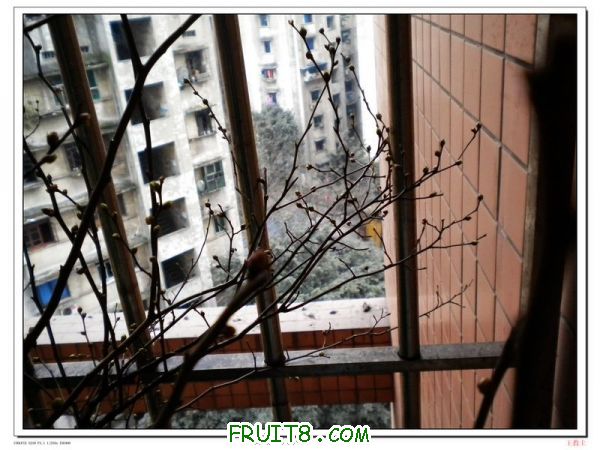 DSCN2121.jpg