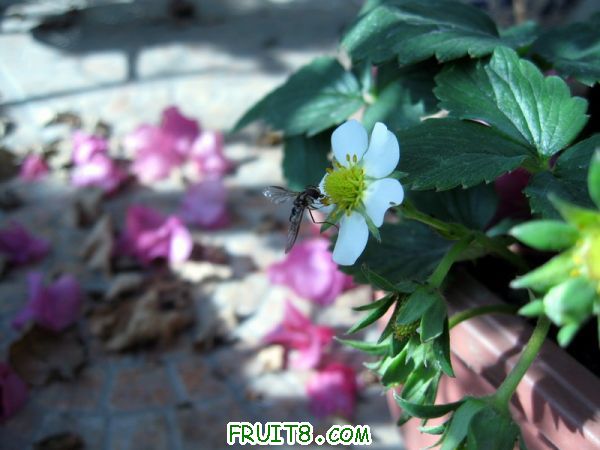 Ƭ 025.JPG