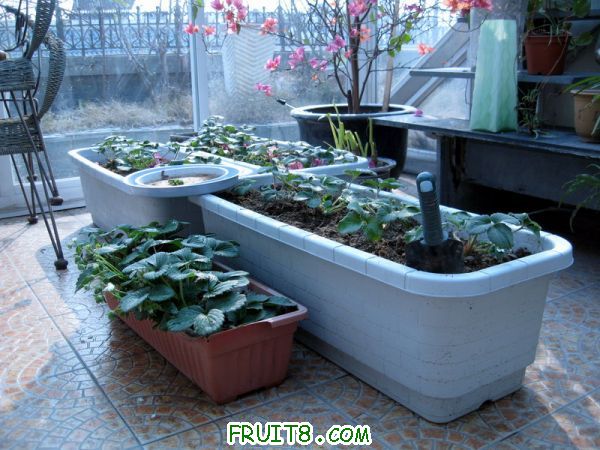 Ƭ 056.JPG