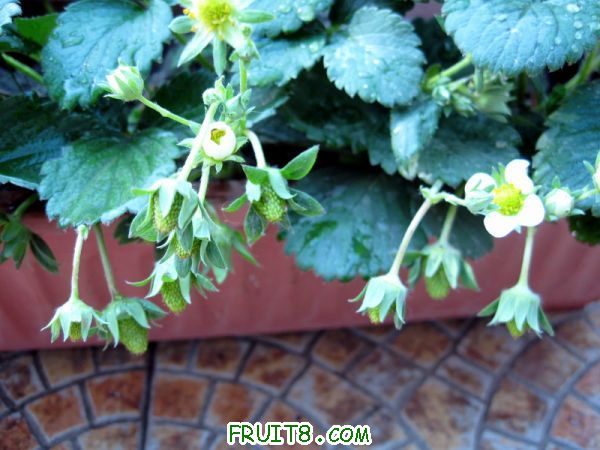 Ƭ 055.JPG
