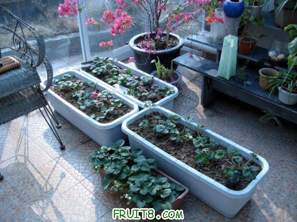 Ƭ 057.JPG
