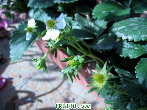 Ƭ 022.JPG