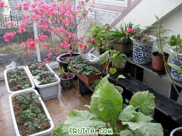 Ƭ 041.JPG