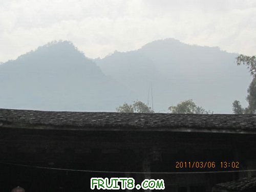 IMG_2907.JPG