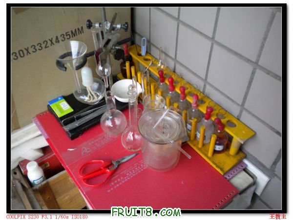 DSCN2128.jpg