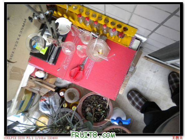DSCN2133.jpg
