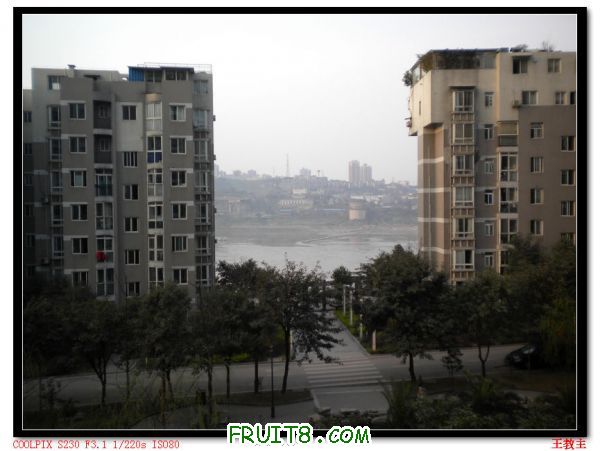 DSCN2137.jpg
