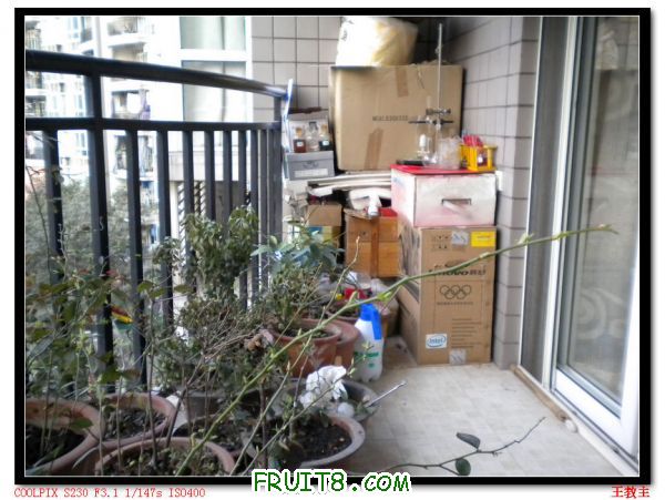 DSCN2138.jpg