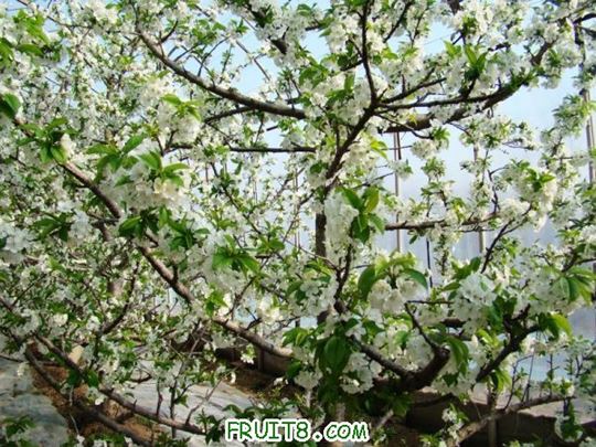 nEO_IMG_DSC01399.jpg