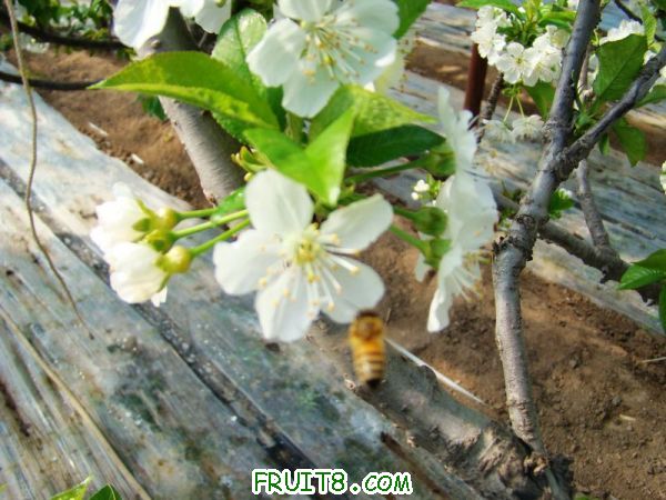 nEO_IMG_DSC01402.jpg
