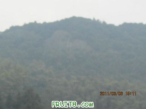 IMG_3082.JPG