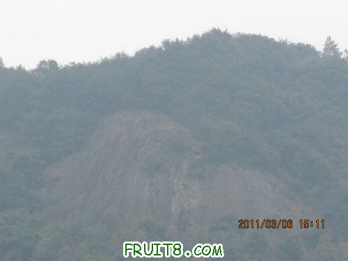 IMG_3083.JPG