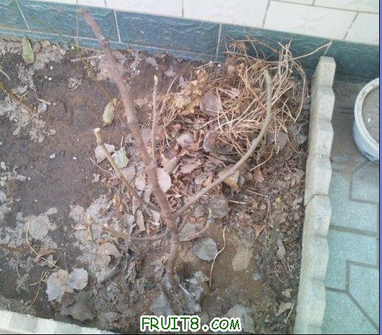 QQ��ͼδ����1.jpg