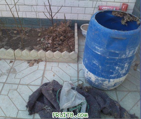 QQ��ͼδ����000.jpg
