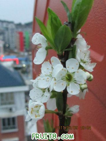 IMG_4183.JPG