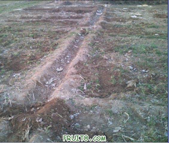 QQ��ͼδ����8.jpg