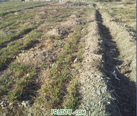 QQ��ͼδ����1.jpg
