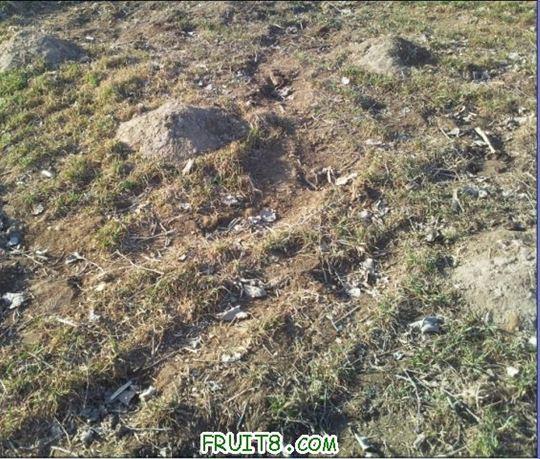 QQ��ͼδ����3.jpg