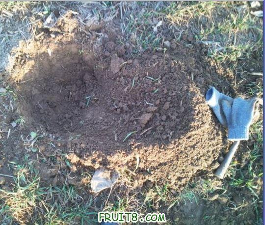 QQ��ͼδ����4.jpg