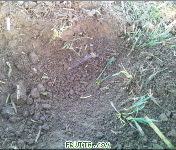 QQ��ͼδ����6.jpg