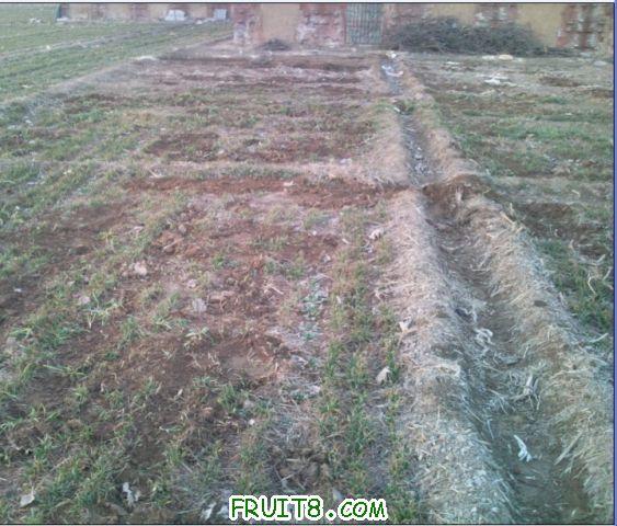 QQ��ͼδ����7.jpg