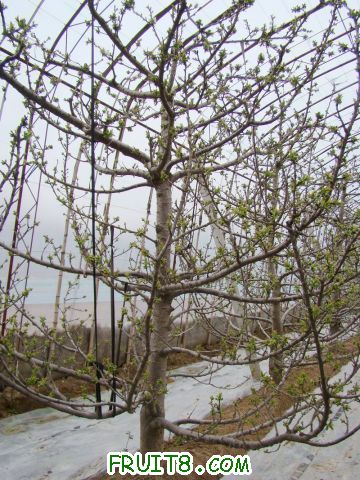 DSC01102.JPG