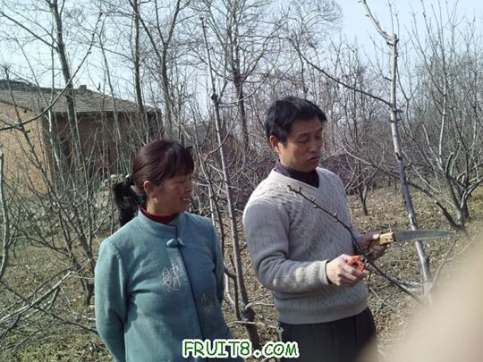 SUNP0059.JPG