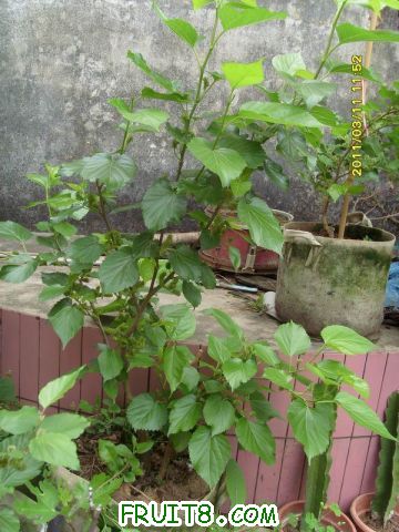 С SI851259.JPG