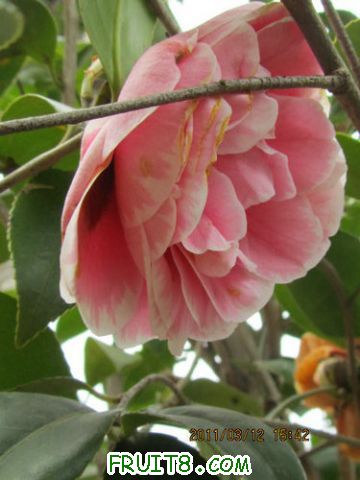 IMG_4645.JPG