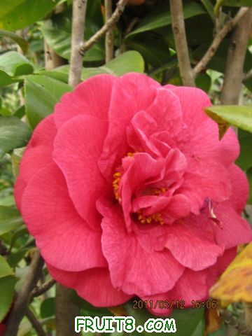 IMG_4750.JPG