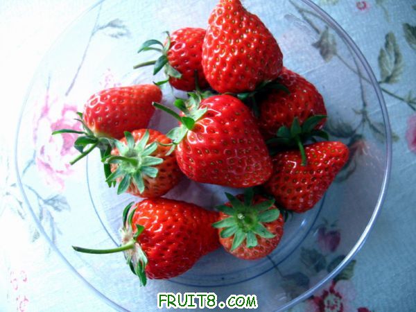 Ƭ 097.JPG