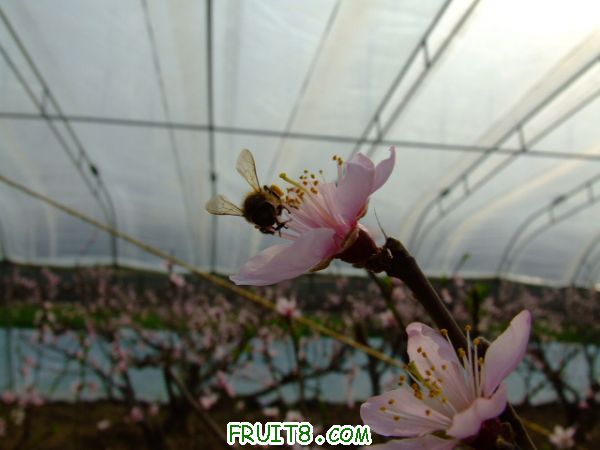 DSCF0147.JPG
