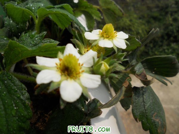 DSCN1589.jpg