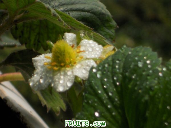DSCN1593.jpg