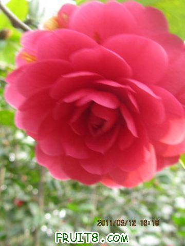IMG_4815.JPG