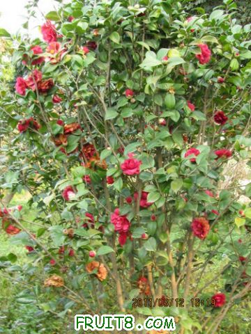 IMG_4818.JPG