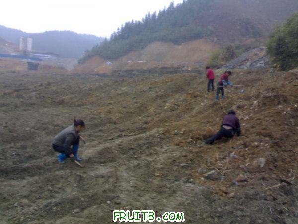 20110305421.jpg