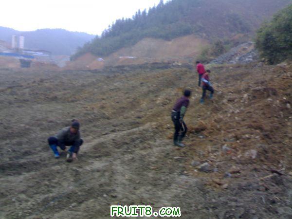 20110305420.jpg