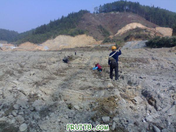 20110304417.jpg