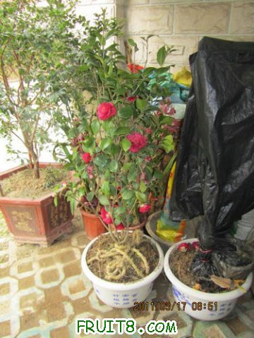 IMG_6608.JPG