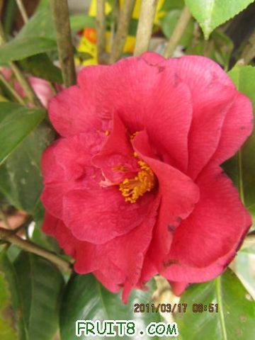 IMG_6610.JPG