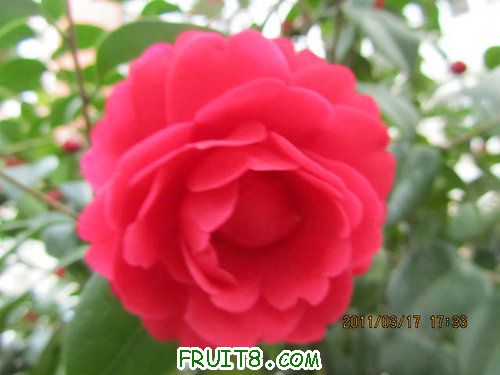 IMG_6835.JPG