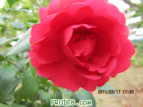 IMG_6836.JPG