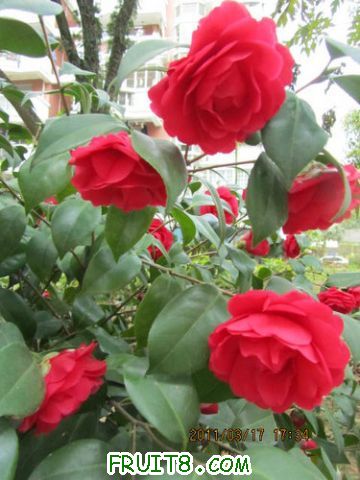IMG_6844.JPG