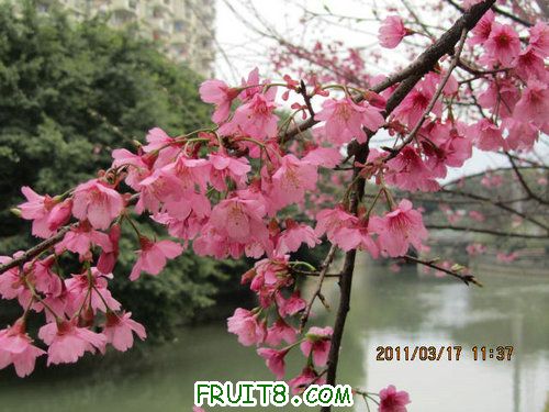 IMG_6676.JPG