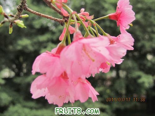 IMG_6680.JPG