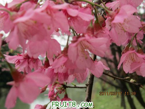 IMG_6686.JPG