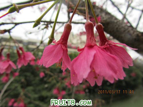 IMG_6695.JPG