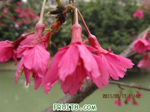 IMG_6699.JPG